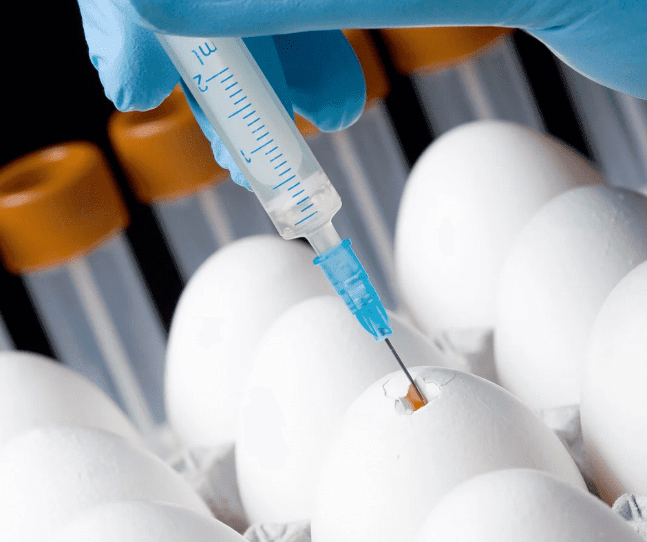 20250602 215211 0000