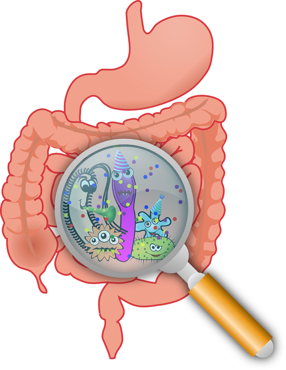 O Que é Síndrome do Intestino Irritavel?